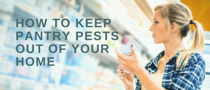 pantry pests