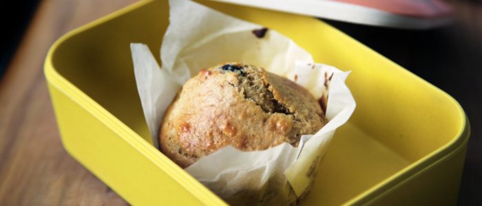 A muffin inside of a tight sealing plastic container.