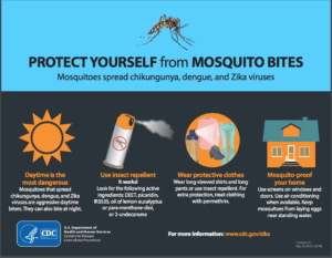 mosquito bite protection