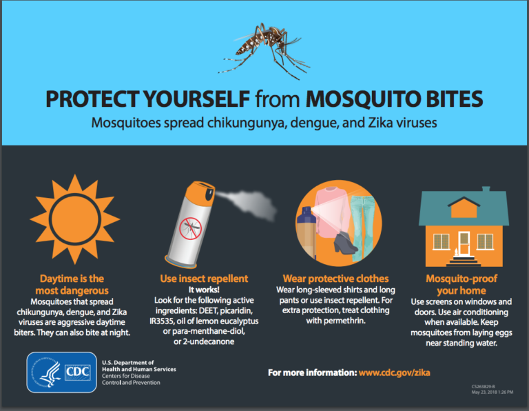 how to solve mosquito problem