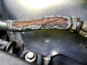 an exposed wire chewed by a mouse