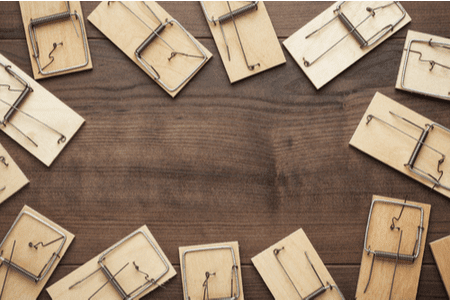 mouse traps on wooden floor