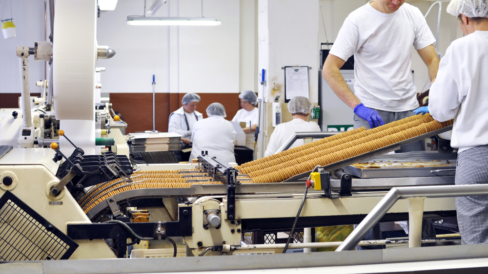 Workers process crackers in a food manufacturing plant.