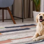 A golden retriever sits on an area rug in a residential living room. Ants can be a nuisance to pets, but Gregory Pest Solutions can help you remove them in a pet-friendly manner.