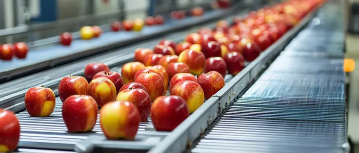 Food processing facility with apples on conveyor belts