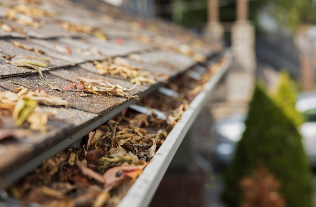 gutter clogged up by leaves