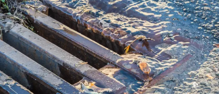 Storm drain with standing water and debris, highlighting a potential pest breeding site near multifamily buildings.