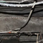 Cockroaches thrive and seek damp areas of the home, often appearing in basements